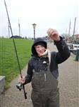 🥶🎣 Zinderende finale Baarsvissen 